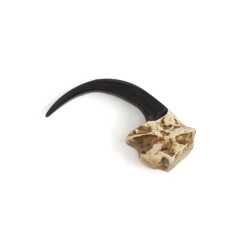 Cast Resin Eagle Claw Pendant Or Embellishment 1
