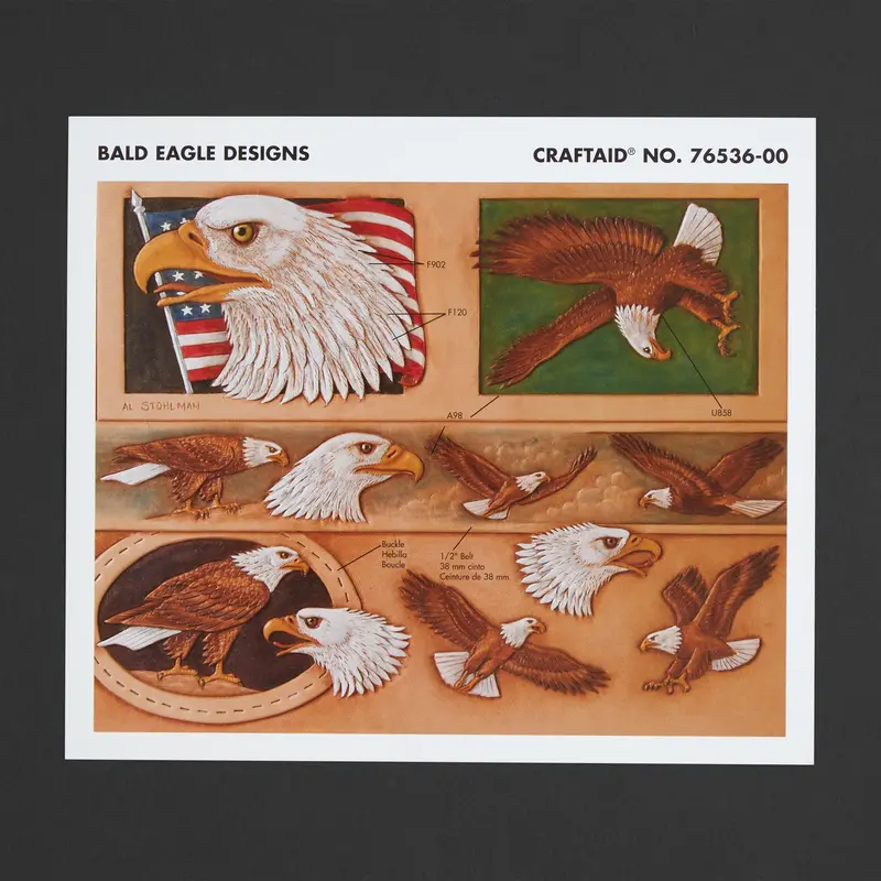Eagle-Themed Billfold, Belt, And Buckle Craft Aid Kit 1