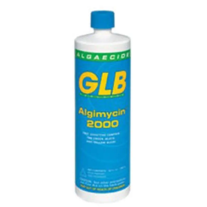 Glb Algimycin Nonmetallic Poly-Complex Algaecide – 1-Gallon Formula For Swimming Pool Maintenance 1