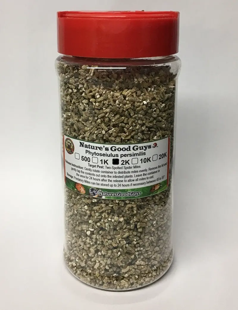 Live Predatory Mites (Phytoseiulus Persimilis) – 2,000 Adults, 16 Oz Container, Next-Day Shipping 1