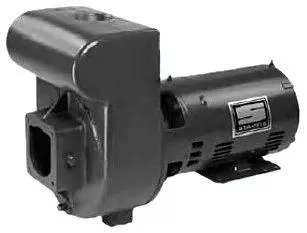 Pentair Dmj-172 D-Series Commercial Pool Pump – 5 Hp, 230V Self-Priming Centrifugal Pump 1