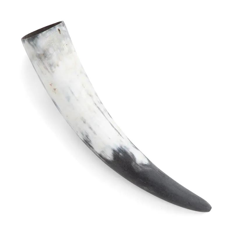 Sanded Steerhorn Handle Or Decorative Accent 1
